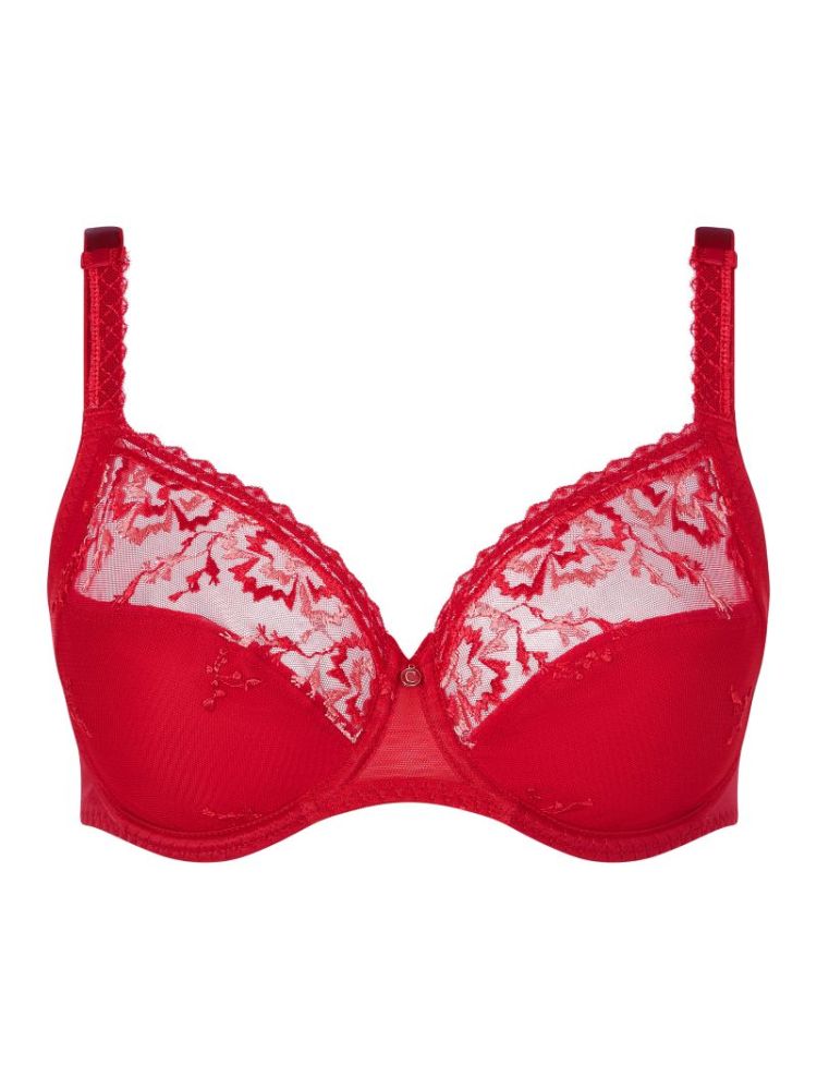 EVERY CURVE SCARLET