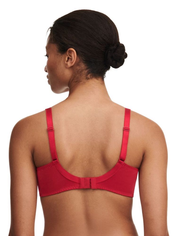 EVERY CURVE SCARLET