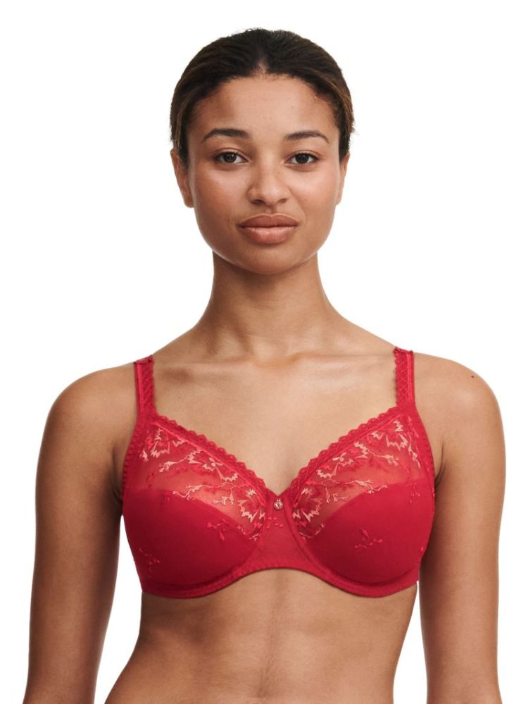 EVERY CURVE SCARLET