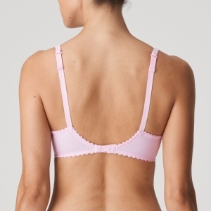 PALOMA LLR