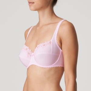 PALOMA LLR
