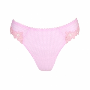 PALOMA LLR
