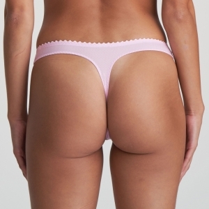 PALOMA LLR