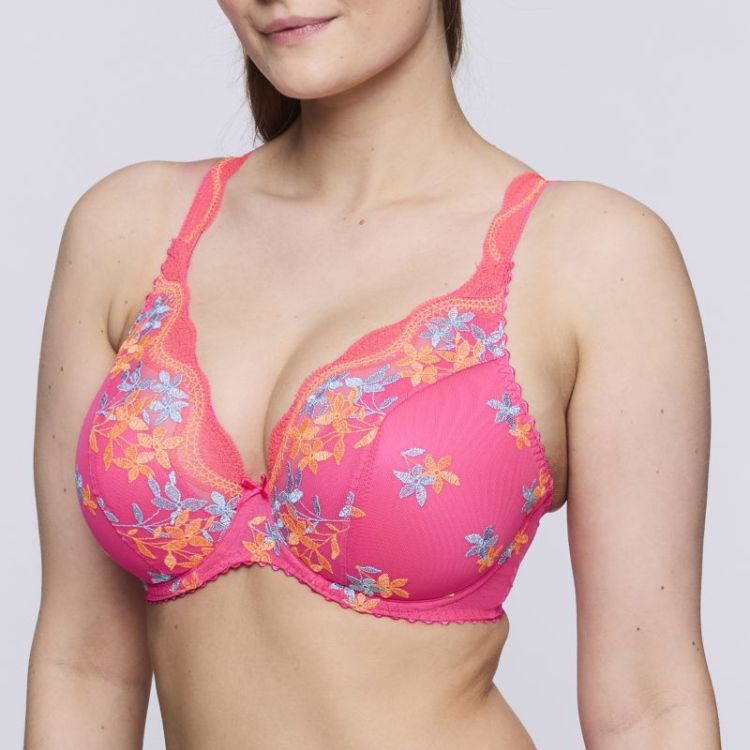 CALA LUNA BGP