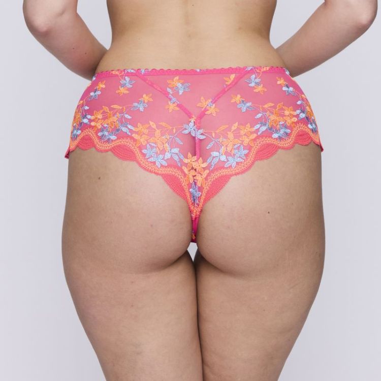 CALA LUNA BGP