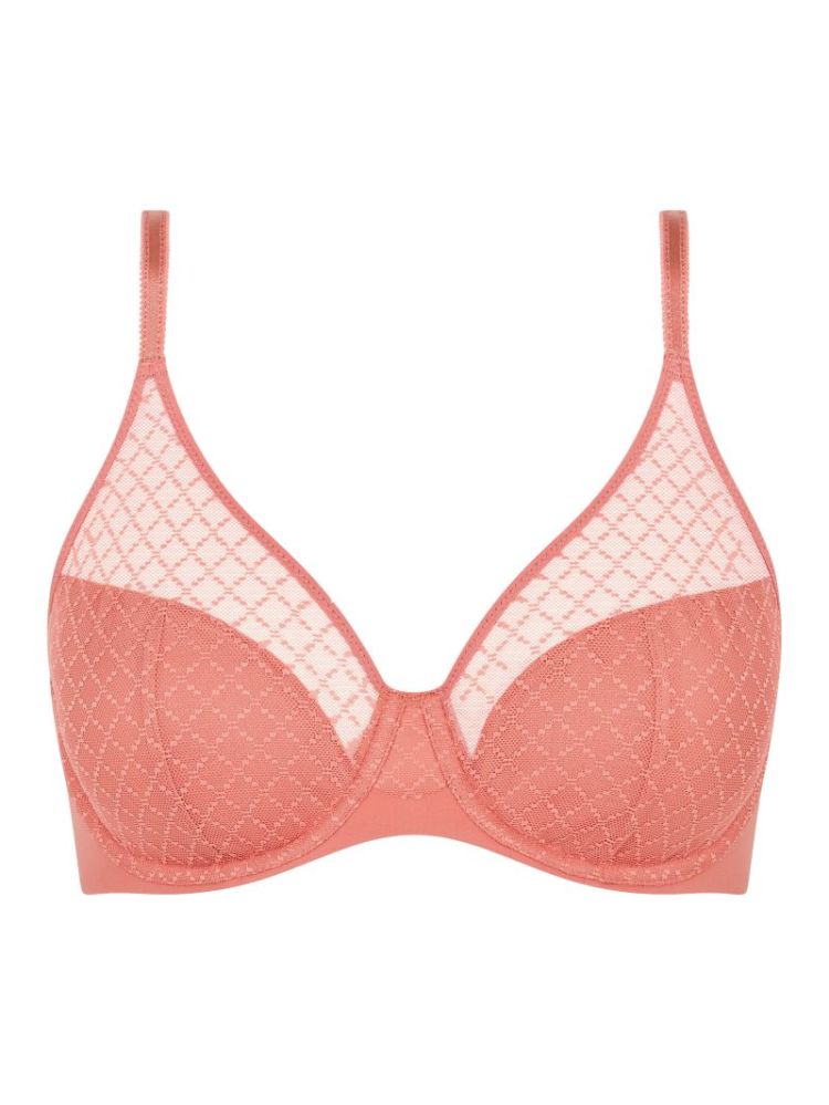 NORAH CHIC ROSE CANYON