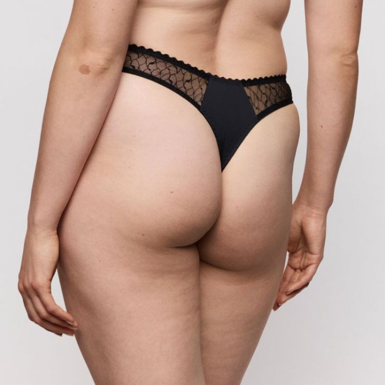 NAICA ZWA